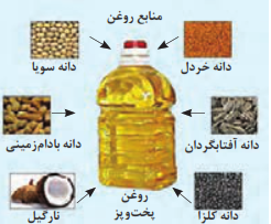 برخی از محصولات گیاهی سرشار از روغن