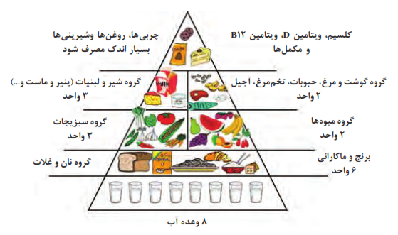 هرم غذایی