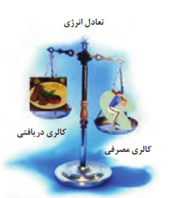  تعادل بین انرژی دریافتی و مصرفی