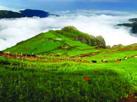 مناطق بکر، محصولات طبیعی
