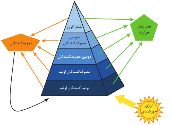  هرم انرژی
