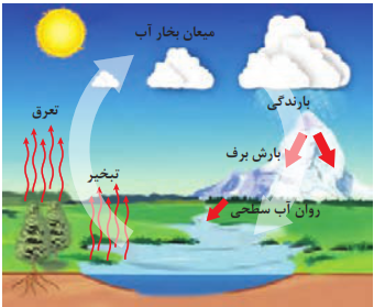  چرخة آب