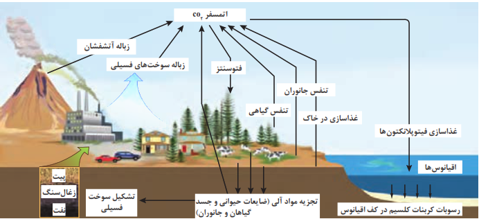   چرخه کربن