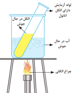 آزمایش تولید نشاسته در برگ