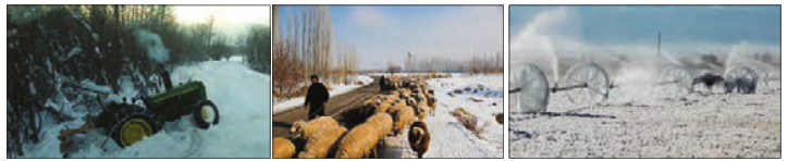 کارگران در معرض خطر سرمازدگی