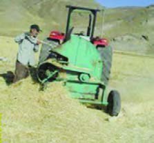 خرمن&zwnj;کوب پشت تراکتور در حال کار