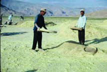 غربال&zwnj;کردن با غربال دارای روزنه درشت&zwnj;تر از دانه، برای جداکردن کلش و اجزای بزرگ&zwnj;تر از دانه