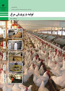 تولید و پرورش مرغ