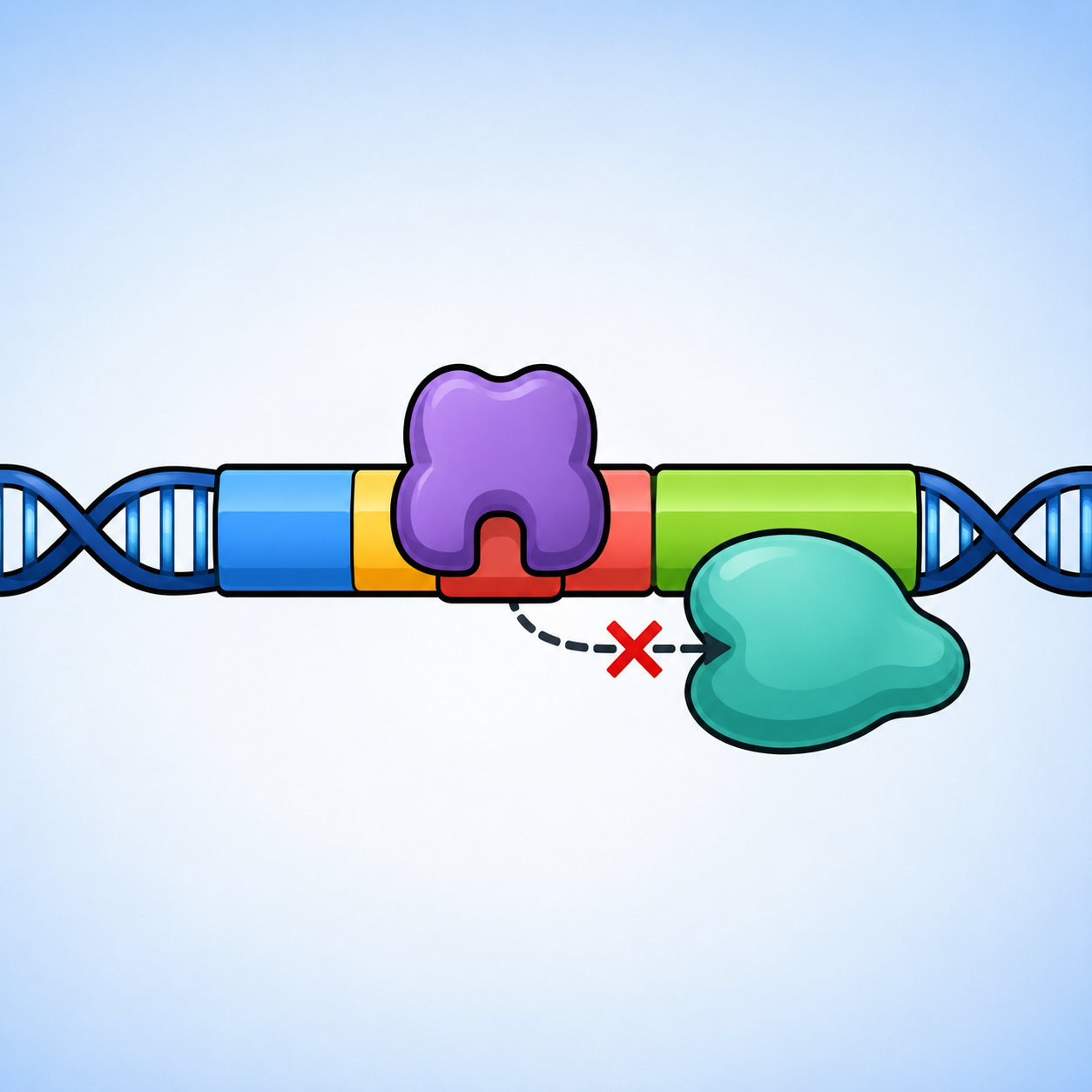 عملگر: توالی DNA کنترل‌کننده دسترسی رنابسپاراز به ژن