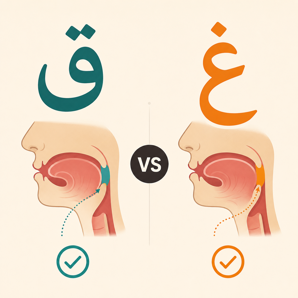 نشانه ق و غ چه تفاوتی دارند؟ هر دو صدای ق یا غ می‌دهند با شکل متفاوت