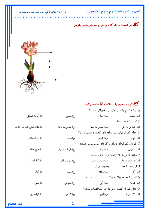 تمرین در خانه علوم تجربی سوم دبستان شناختی تکریم | درس 11: بکارید و ببینید