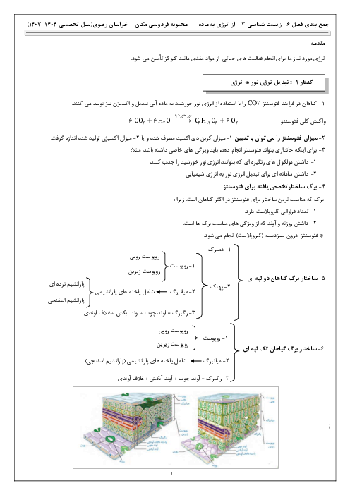 نکات درسی فصل ششم کتاب زیست شناسی دوازدهم | از انرژی به ماده 