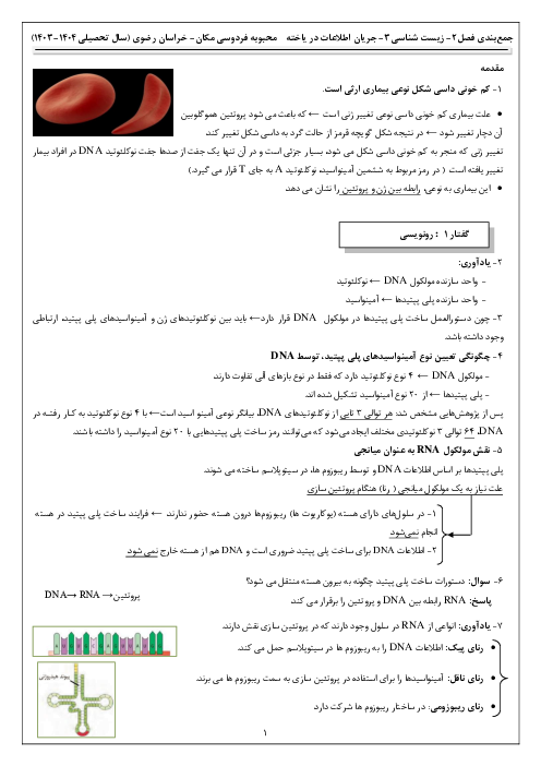 نکات درسی فصل دوم زیست شناسی دوازدهم | جریان اطلاعات در یاخته