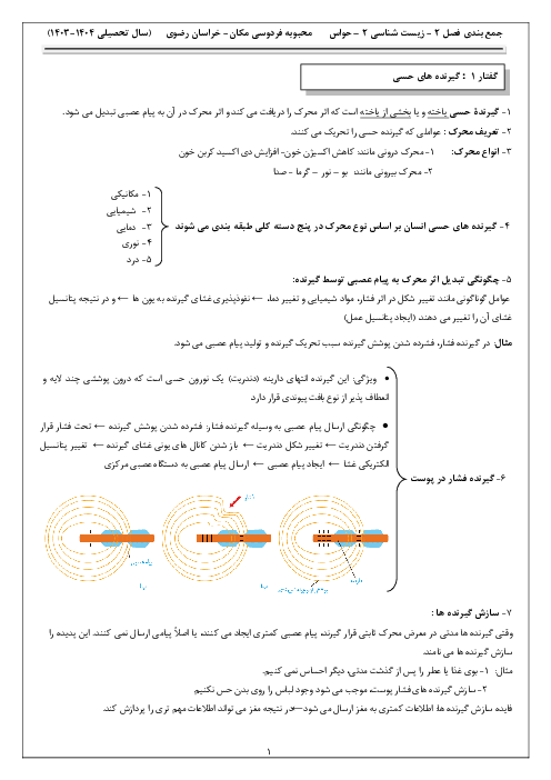 نکات درسی فصل دوم زیست شناسی یازدهم | حواس