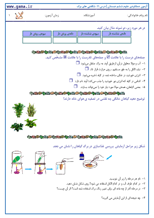 آزمون عملکردی علوم ششم دبستان | درس 11: شگفتی های برگ