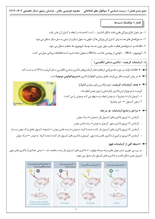 نکات درسی فصل اول کتاب زیست شناسی دوازدهم | مولکول‌های اطلاعاتی