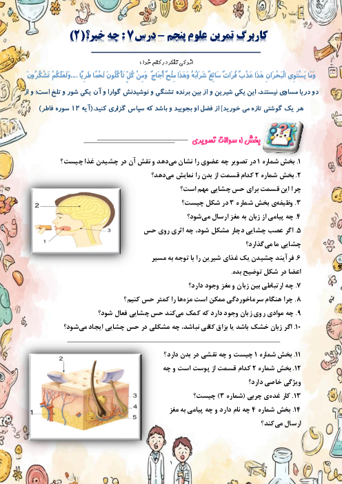 کاربرگ سوالات مدادکاغذی و مهارتی علوم پنجم دبستان | درس 7: چه خبر 2 (چشایی، بویایی و لامسه)