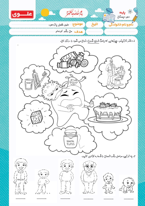 کاربرگ مراحل رشد و سلامت دندان