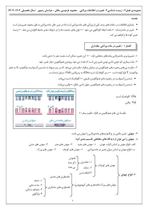 نکات درسی فصل چهارم زیست شناسی دوازدهم | تغییر در اطلاعات وراثتی