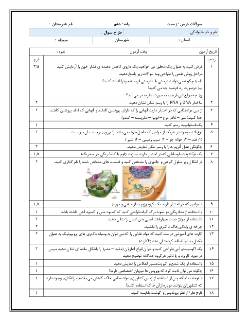 نمونه سوال آزمون نوبت دوم درس زیست شناسی فنی دهم | خرداد 1399