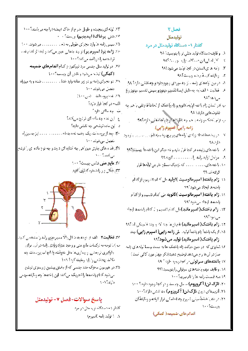 سوالات امتحانی زیست شناسی (2) یازدهم دبیرستان ملا محمد بجنوردی | فصل 7 | گفتار 1: دستگاه تولید مثل در مرد