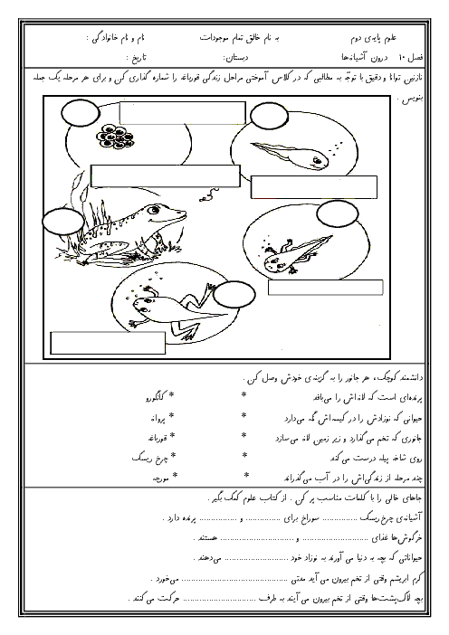 آزمون عملکردی علوم تجربی دوم دبستان  | فصل دهم: درون آشیانه ها