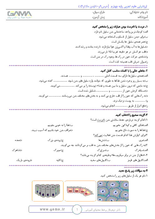 ارزشیابی تکوینی علوم تجربی کلاس چهارم دبستان جامی + جواب | درس 9 و 10: بدن ما (1) و (2)