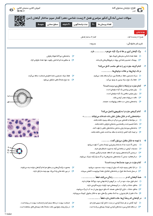 سوالات تستی آمادگی کنکور سراسری فصل 6 زیست شناسی دهم | گفتار سوم: ساختار گیاهان (سری A)