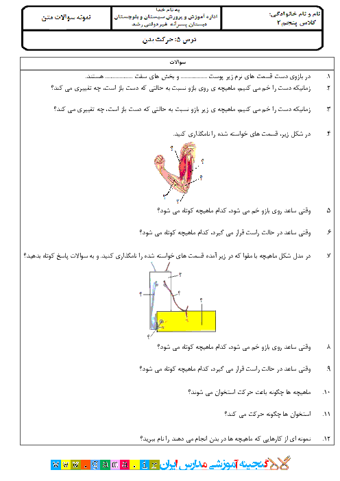 سوالات متن درس علوم تجربی  پنجم دبستان  |  درس 5: حرکت بدن