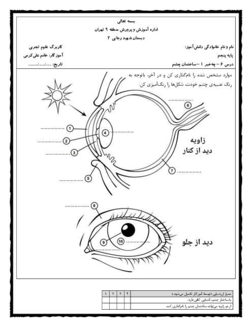 کاربرگ کتبی عملکردی نام گذاری ساختمان چشم انسان