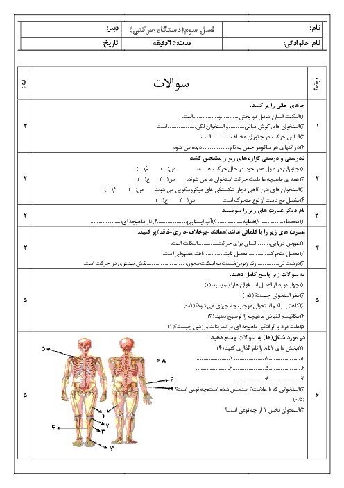 نمونه سوالات امتحانی زیست شناسی (2) یازدهم |فصل سوم: دستگاه حرکتی