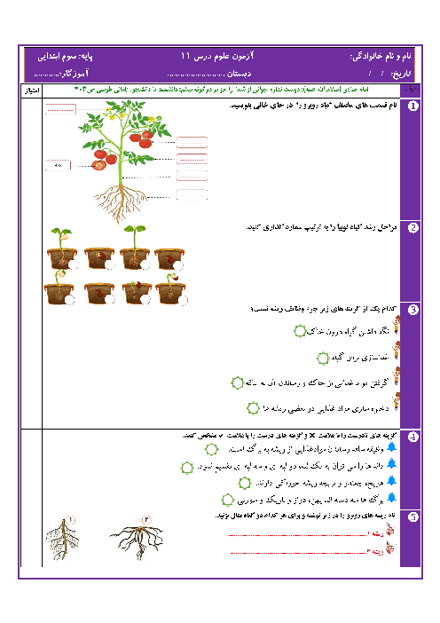 ارزشیابی مهارتی علوم تجربی سوم دبستان تربیت حسینی | درس 11: بکارید و ببینید