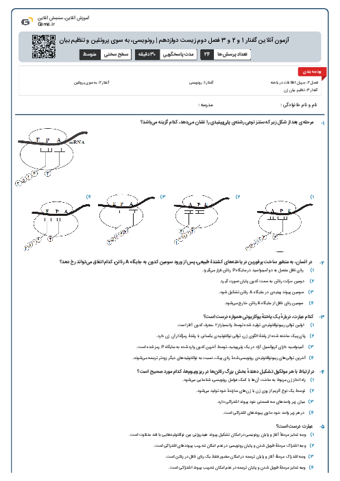 آزمون آنلاین گفتار 1 و 2 و 3 فصل دوم زیست دوازدهم | رونویسی، به سوی پروتئین و تنظیم بیان ژن