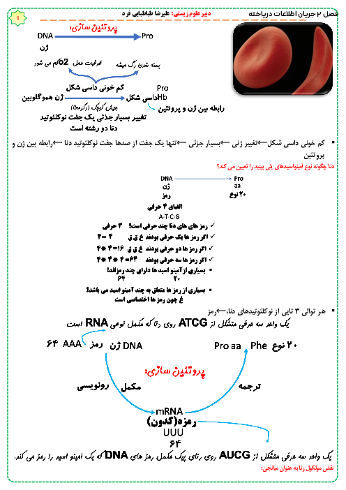 مایند مپ (نمودار درختی) زیست شناسی دوازدهم |  فصل 2: جریان اطلاعات در یاخته