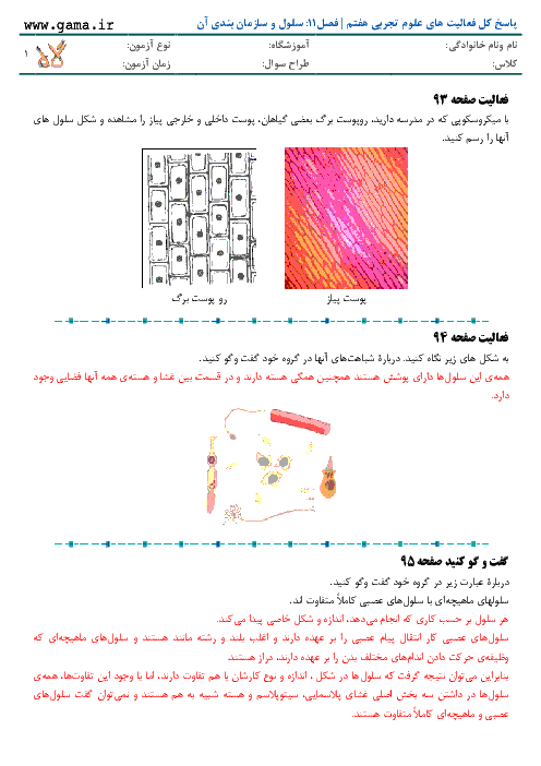 پاسخ کل فعالیت های علوم تجربی هفتم | فصل11: سلول و سازمان بندی آن