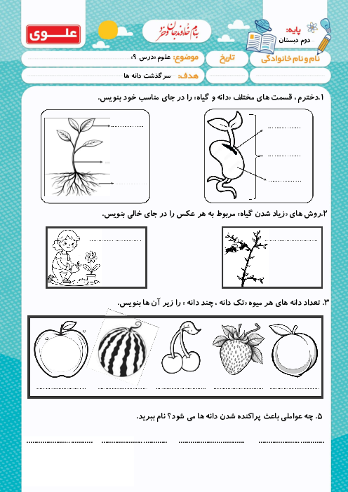 کاربرگ دانه و گیاه