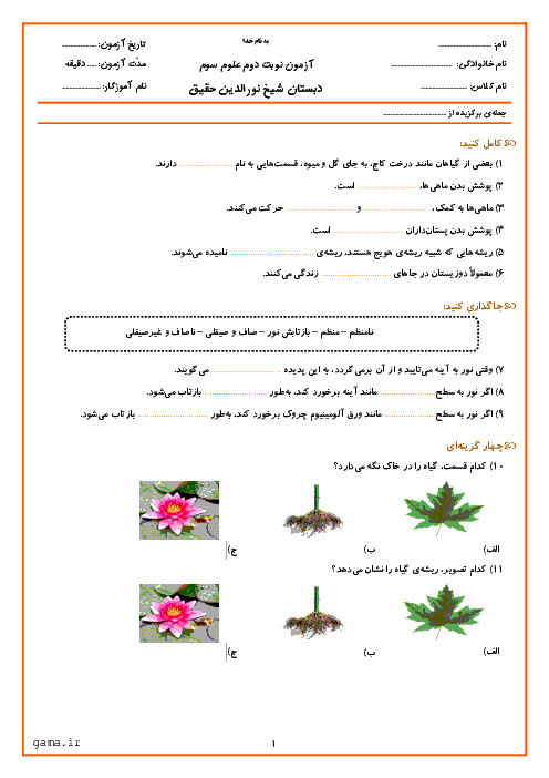 آزمون نوبت دوم علوم تجربی سوم دبستان شیخ نورالدین حقیق | اردیبهشت 96