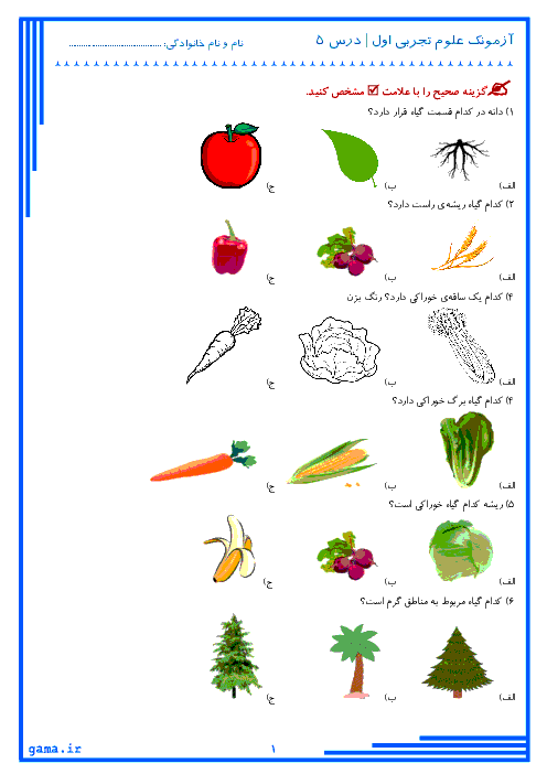 آزمونک علوم تجربی اول دبستان | درس 5: دنیای گیاهان