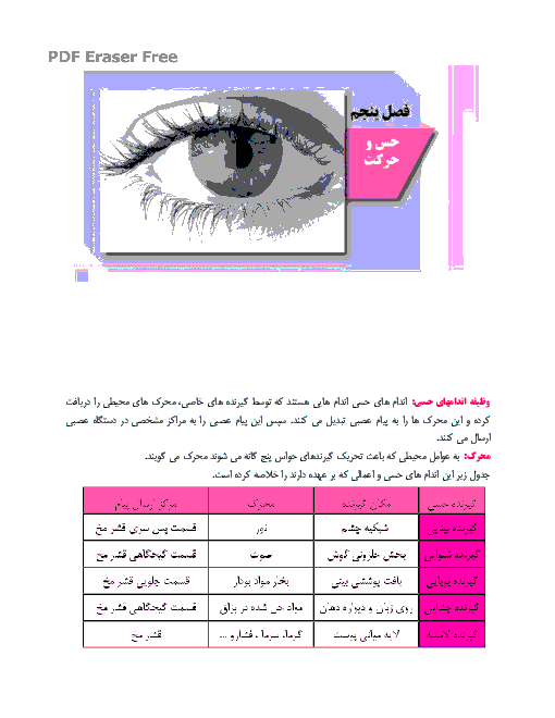 جزوه علوم تجربی هشتم | فصل پنجم: حس و حرکت و سوالات در پایان فصل