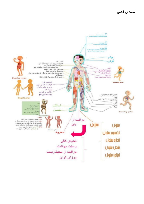 طرح درس و نقشه مفهومی علوم چهارم بدن ما 2