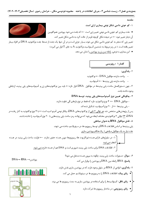 نکات درسی فصل دوم زیست شناسی دوازدهم | جریان اطلاعات در یاخته