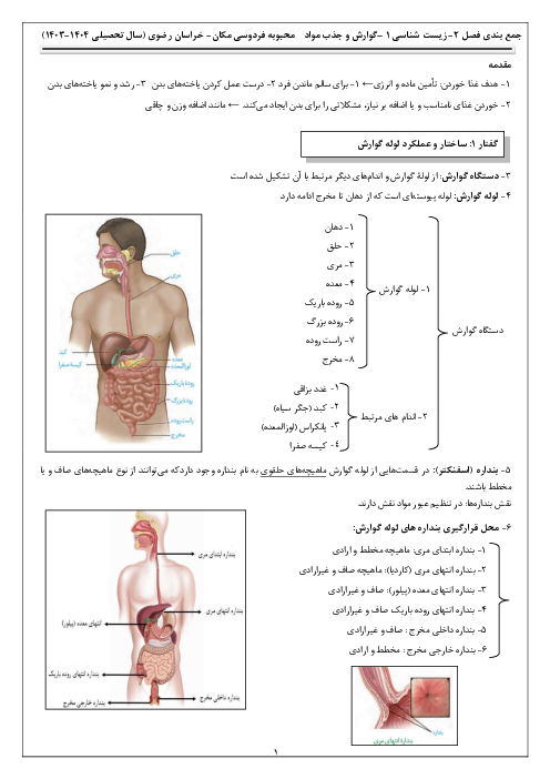 نکات درسی فصل دوم زیست شناسی دهم | گوارش و جذب مواد