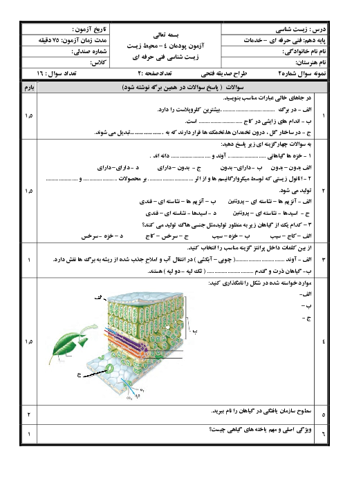 سوالات امتحان پودمانی زیست شناسی فنی دهم هنرستان امام رضا (ع) | پودمان 4: گیاهان