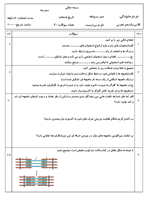 امتحان زیست شناسی (2) یازدهم رشته تجربی | فصل سوم: دستگاه حرکتی