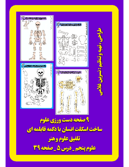 پازل و دستورزی اسکلت انسان علوم پنجم