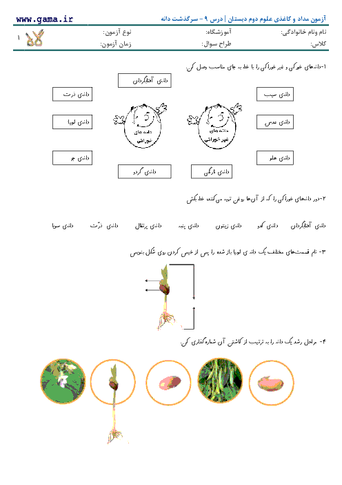 آزمون مداد کاغذی علوم دوم دبستان | درس 9 - سرگذشت دانه