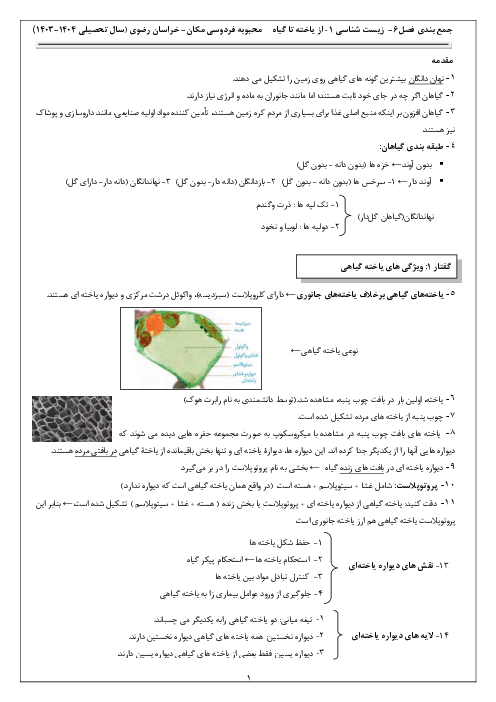 نکات درسی فصل ششم زیست شناسی دهم | از یاخته تا گیاه