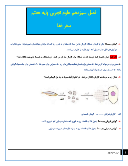 سوالات متن درس علوم تجربی هفتم با جواب | فصل 13: سفر غذا