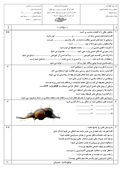 آزمون آمادگی امتحان نوبت اول زیست شناسی (2) پایه یازدهم تجربی | دبیرستان سرای دانش واحد سید خندان