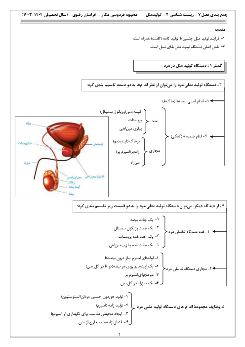 نکات درسی فصل هفتم زیست شناسی یازدهم | تولید مثل